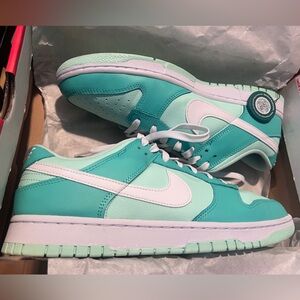 Nike Dunk Low Retro Light Mint Sneakers. New in box, worn one time no wear!